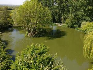 ChinnorThe Chiltern Lodges at Upper Farm Henton的享有树木和灌木丛的河流美景