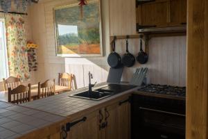 赫拉尔兹贝亨Vakantiewoning De Wilg - rustig gelegen的厨房配有水槽和炉灶 顶部烤箱
