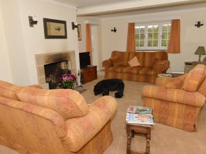 海华德希思Twyford Farm B&B的客厅里设有两张沙发和一条狗