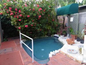 基韦斯特海滩美梦套房酒店的一座小游泳池,位于灌木丛前,种植着粉红色玫瑰
