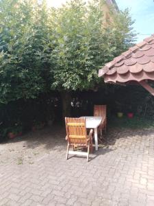 Sainte-SuzannePetite maison proche de Montbéliard的树下带桌子和两把椅子的庭院