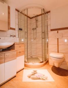 埃尔巴赫Ferienwohnung Casa del Vino的带淋浴、卫生间和盥洗盆的浴室