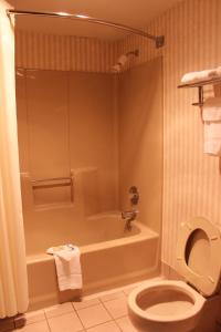 格林维尔Relax Inn Greeneville的带浴缸、卫生间和淋浴的浴室。