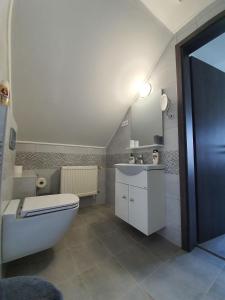 科马罗姆Monostor Panzió的浴室配有白色卫生间和盥洗盆。