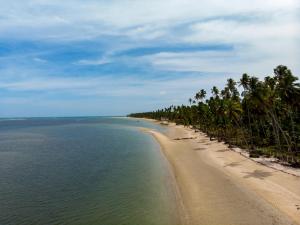 普拉亚多斯卡内罗斯Carneiros Beach Resort - Paraíso Beira Mar的棕榈树海滩和海洋