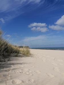 巴贝Pension Mien Fründt的沙地和草地上一片有足迹的海滩