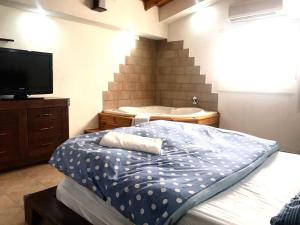 谢莫纳城בקתות היובל的一间卧室配有一张床、一个浴缸和一台电视。