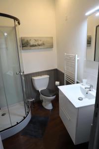 Le LonzacL'appartement 62的浴室配有卫生间、盥洗盆和淋浴。