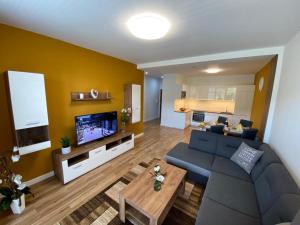 巴德霍夫斯基库佩莱Rezidencia AMÉLIA - Afrodita 2的客厅配有蓝色的沙发和电视