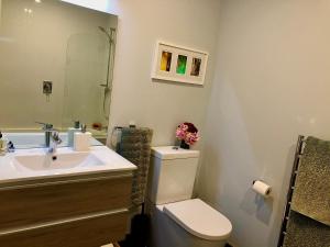 KelburnExecutive style bedroom的一间带水槽、卫生间和镜子的浴室