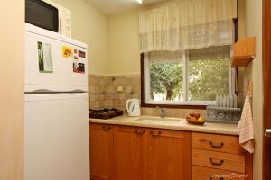 戈兰客房 - 萨西家庭乡村旅舍的厨房或小厨房