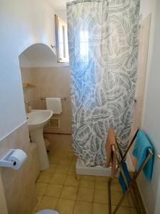 格雷乌莱班Oasis tranquille - L'évasion au Verdon的浴室配有淋浴帘和盥洗盆。