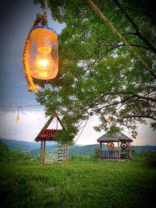 新瓦罗什Etno domacinstvo Saponjic的凉亭旁的树上挂着的灯