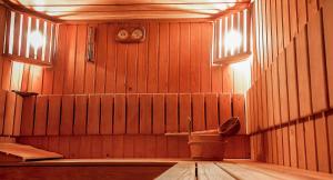 彼得罗沙尼鲁苏酒店的木墙浴室设有卫生间