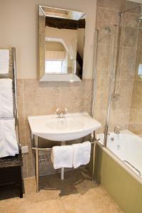 Leintwardine雄狮酒店的一间带水槽和淋浴的浴室