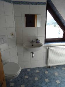 梅森Ferienhaus Dampferblick的一间带卫生间和水槽的浴室