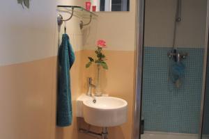 阿姆斯特丹野玫瑰酒店的浴室设有水槽和花瓶
