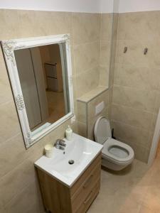 皮特什蒂Apartment Pitesti的一间带水槽、卫生间和镜子的浴室