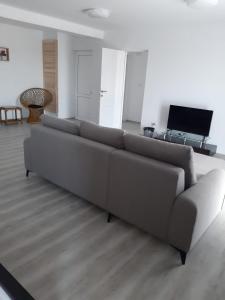 科尔布Vila antonio的客厅里设有一张大沙发,配有电视