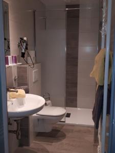 巴德小基希海姆Simonbauerhof的浴室配有卫生间、盥洗盆和淋浴。