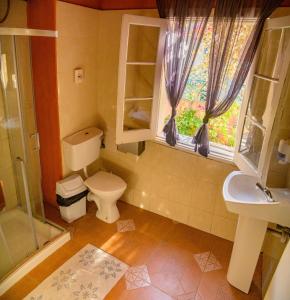 圣朱利安斯波西米亚旅馆的一间带卫生间、水槽和窗户的浴室