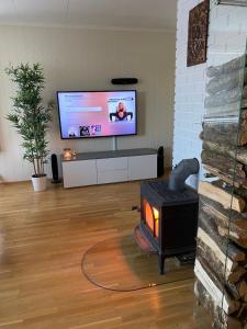 VikumAskevika的客厅设有壁炉和平面电视。
