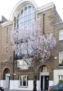 伦敦Notting Hill Luxury Duplex的砖楼前的开花树