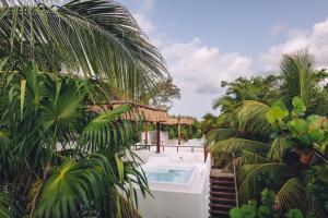 图卢姆Chiringuito Tulum的一个带游泳池和一些棕榈树的度假村