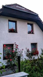 JirkovVila v Podkrušnohoří的一座带三个红色花窗的房子