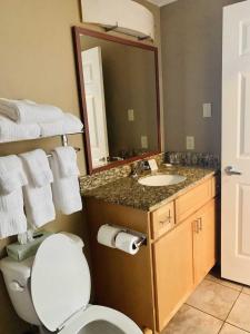 哈里斯堡Candlewood Suites Harrisburg I-81 Hershey Area, an IHG Hotel的一间带卫生间、水槽和镜子的浴室
