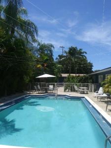迈阿密Gorgeous Beachy Chic Condo in Key Biscayne的庭院里的一个蓝色海水大型游泳池