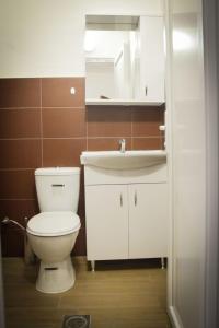 VinicaVila Oska的浴室配有白色卫生间和盥洗盆。