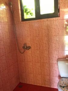 奥恰姆奇拉Mishel555的带淋浴、卫生间和窗户的浴室