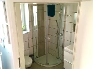 博伊伦Ferienwohnung Zaunkönig的一间带卫生间的浴室内的玻璃淋浴间