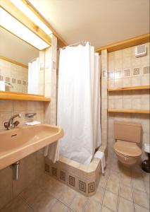 弗利姆斯Arena Guesthouse的带淋浴、卫生间和盥洗盆的浴室