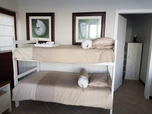赫罗德斯湾Apartment Ozone的两张双层床,位于一间有两只鸟的房间