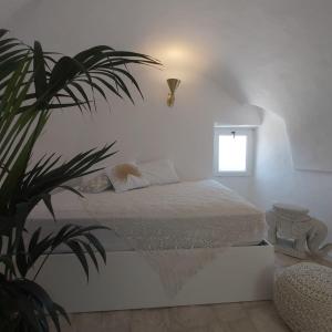 奥斯图尼Caterina's Suites & Apartament的一间卧室配有一张床和盆栽植物