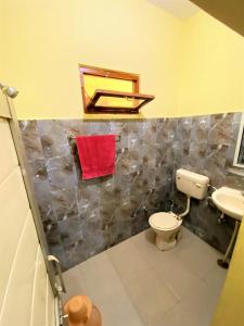 Surajpur JikklaTOURIST LODGE的一间带卫生间和水槽的浴室