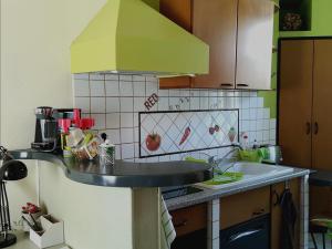 奥尔沃Orval et sens - Le Rayon Vert Studio的厨房配有水槽和绿色的抽油烟机
