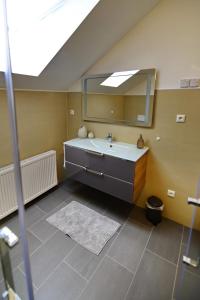 班贝格Pretti Apartments - NEUES stilvoll eingerichtetes Apartment im Zentrum von Bamberg的一间带水槽和镜子的浴室
