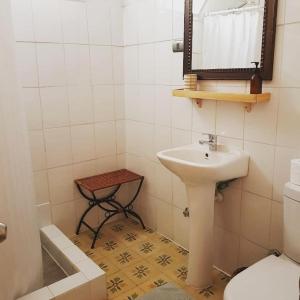 圣地亚哥Eco-Hostal Tambo Verde的一间带水槽、镜子和卫生间的浴室