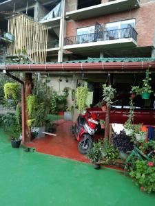埃拉幸运星艾拉民宿的停在有盆栽植物的建筑下的摩托车