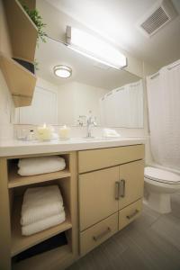 迈阿密迈阿密国际机场烛木套房酒店- 第36街的一间带水槽和卫生间的浴室