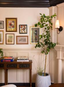 楠塔基特Life House, Nantucket的一间设有书桌和盆栽的房间