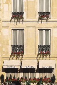 巴黎卢浮宫酒店的建筑窗户上花斑的建筑