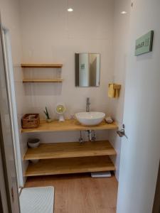 石垣岛Guest House Ishigaki的一间带水槽和镜子的浴室