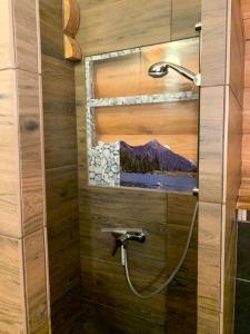 LengdorfLengalm Hütten I & II mit Sauna的浴室内提供淋浴,享有山脉美景