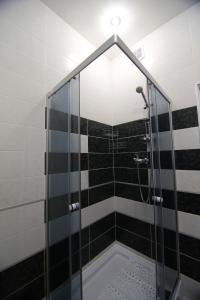 敖德萨乔治格拉德公寓的浴室里设有玻璃门淋浴