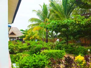 南威吉戈韦德尼别墅的种植了热带植物和棕榈树的花园