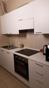 曼托瓦AKANTHO apartment的厨房配有白色橱柜和黑色水槽
